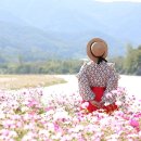 동창천 이미지