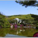 김포 다도박물관 이미지