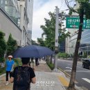 나무그늘 이미지