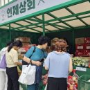 인제상회 서울신문