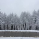 샘터사거리 이미지