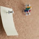 알오시스템