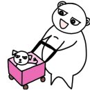 장보는고양이