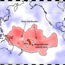 태평양슈퍼 이미지