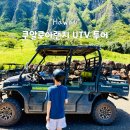 우림목장 | 쿠알로아랜치 UTV 예약 아이랑 가족여행 하와이 액티비티 추천 셔틀 시간