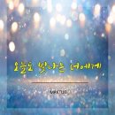 오늘도빛나는너에게