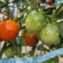 신상호한의원 이미지