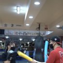 성연미트 이미지