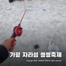 가평 자라섬씽씽겨울축제 솔직 후기! 2월에 운영이 가능하다고?