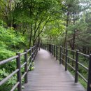 순환형1 이미지