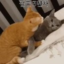 공감