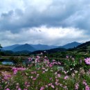 연정(신녕) 이미지