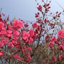 단양펜션구구산장