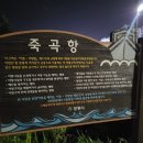 진만낚시