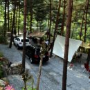 물내치기 이미지