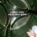 (주)일광자동차서비스 | 나무도적 프리미엄 편백수 탈취제 피톤치드로 냄새제거후기