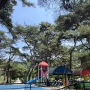 후평숲캠핑장 이미지