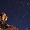 (주)더블유컨셉코리아 이미지