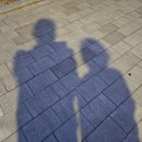 달떡볶이속초점 이미지