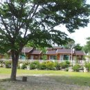 정희농박 이미지