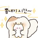 고양이 미용실 이미지