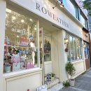 [후기 : 소품샵] 청주 성안길 소품샵 투어 로웨더 ROWEATHER 무해한 상점 방문후기