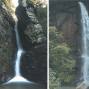 관청슈퍼