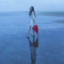 시온상사 - 고양시 일산동구 | 시온상사
