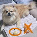 구멍가개 이미지