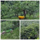 청운물산 | (영주여행) 죽령옛길을 걷다. /주변관광지 소개