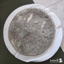 서비스케어 | 에싸 소파 청소 공식 케어서비스 얼룩제거 세척 내돈내산 후기