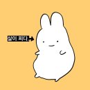 250507_수요병에는 수영 째기