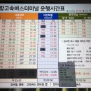 티머니포항버스
