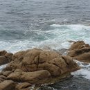 해변길 51 이미지