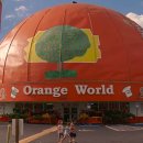 자란다프로젝트 이미지