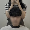 춘천미용실 네이버블로그