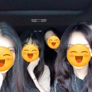 팬션 패트로누스 이미지