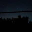 반딧불이 | 보홀 반딧불이 투어 후기 시간 입장료 비용