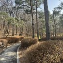 여수울공원(정자) 이미지