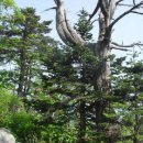 해주여관 이미지