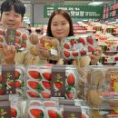 딸기 - 관악구 남현1길 68-22 | 딸기