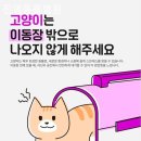 진영동물병원 이미지
