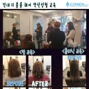 더 볼륨 이미지