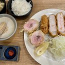 카츠올로지