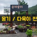 송가옹기