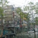 빨간우산 이미지