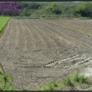 삼가면보건지소 이미지