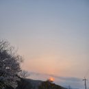 남종면 귀여리 농장 써니얌부부 세번째 주말 농장!분양 체험기