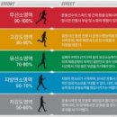 양천국 이미지