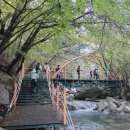 명성산 등산로 | [10월산행] 포천 명성산 은빛금빛 억새꽃 축제